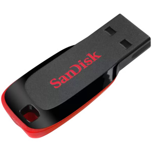 התקן sandisk cruzer blade 32gb z50 ורוד