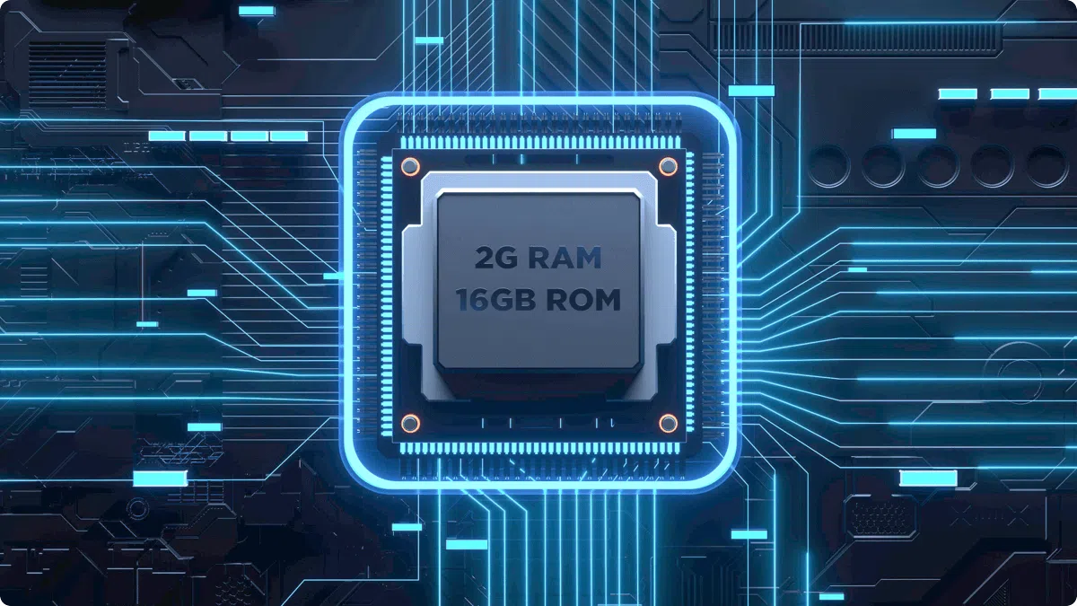 טלוויזיה TCL 55" P655 4K UHD
