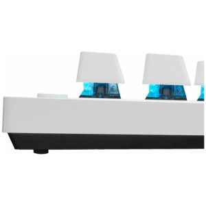 PRO X TKL